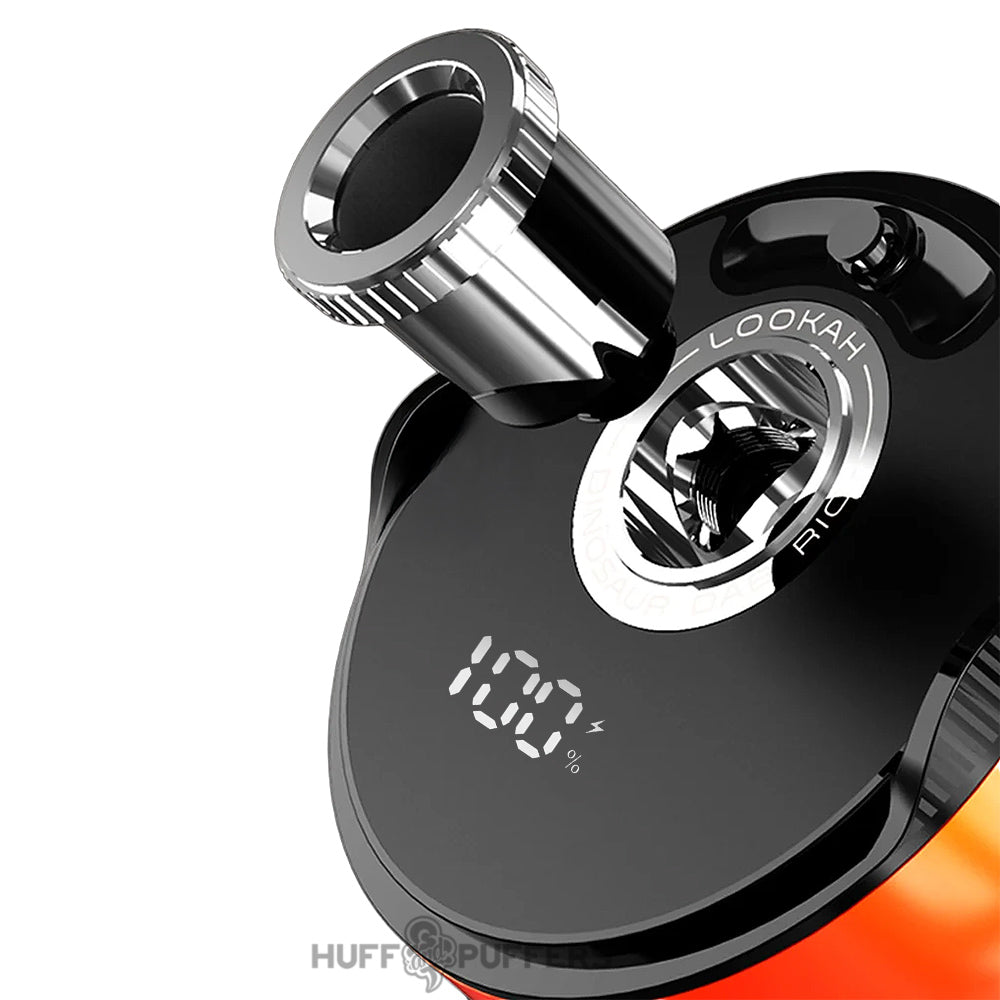 lookah dinosaur dab rig and coil