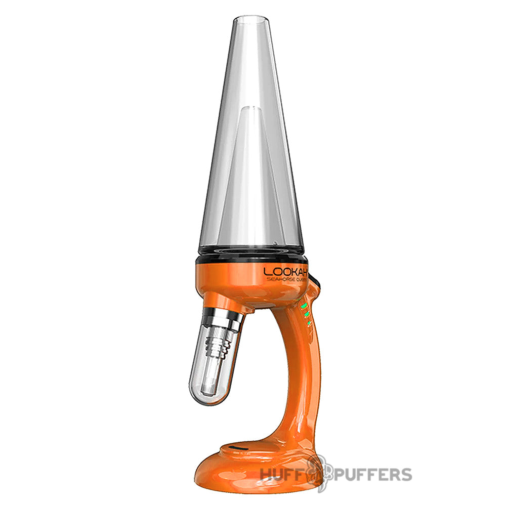 orange lookah seahorse queen nectar collector