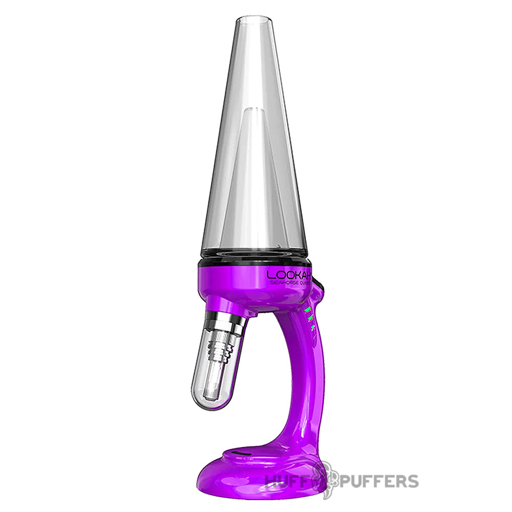 purple lookah seahorse queen nectar collector