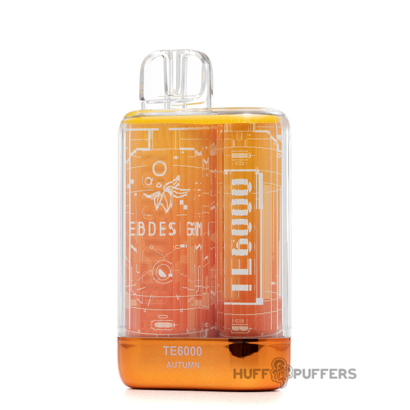 eb design te6000 disposable vape autumn