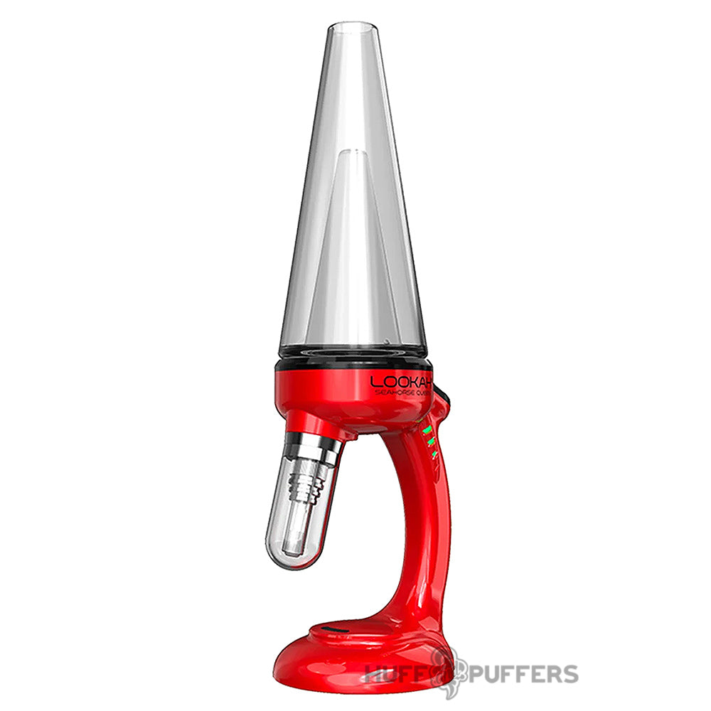 red lookah seahorse queen nectar collector
