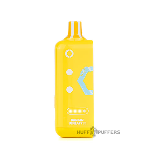 Bangin' Pineapple Off Stamp Ice Cube Pod