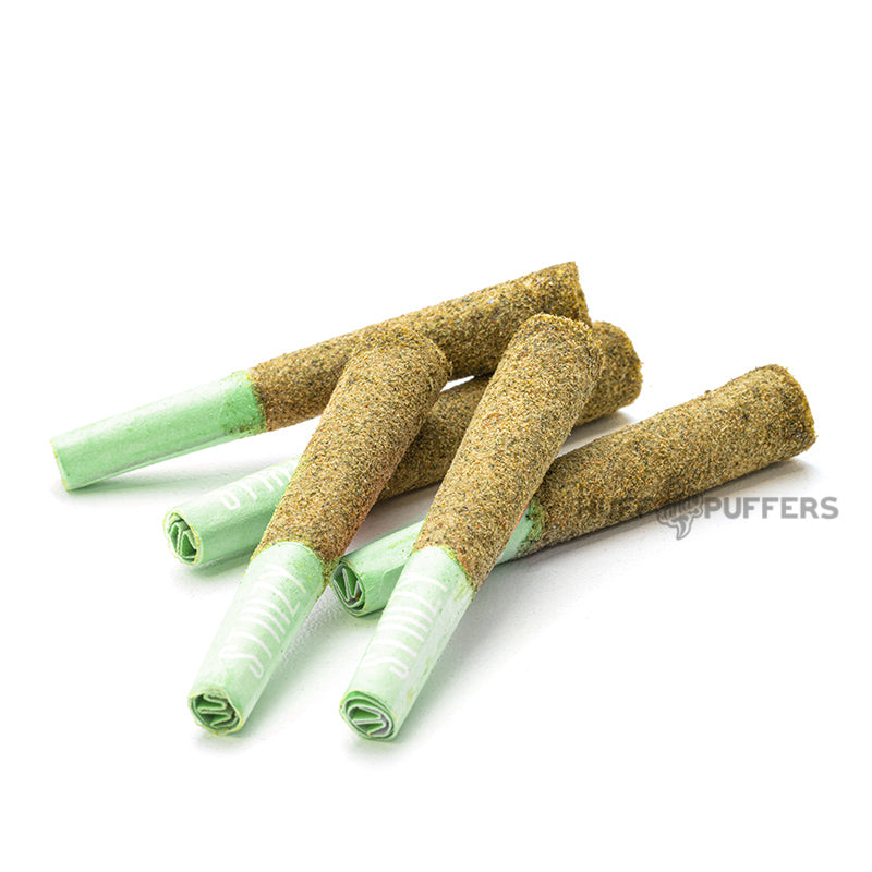 stiiizy 40's hhc pre rolls 5 quantity