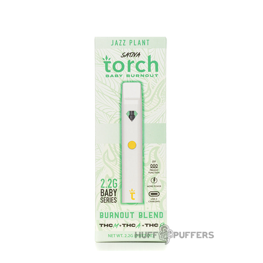 torch baby burnout blend disposable jazz plant