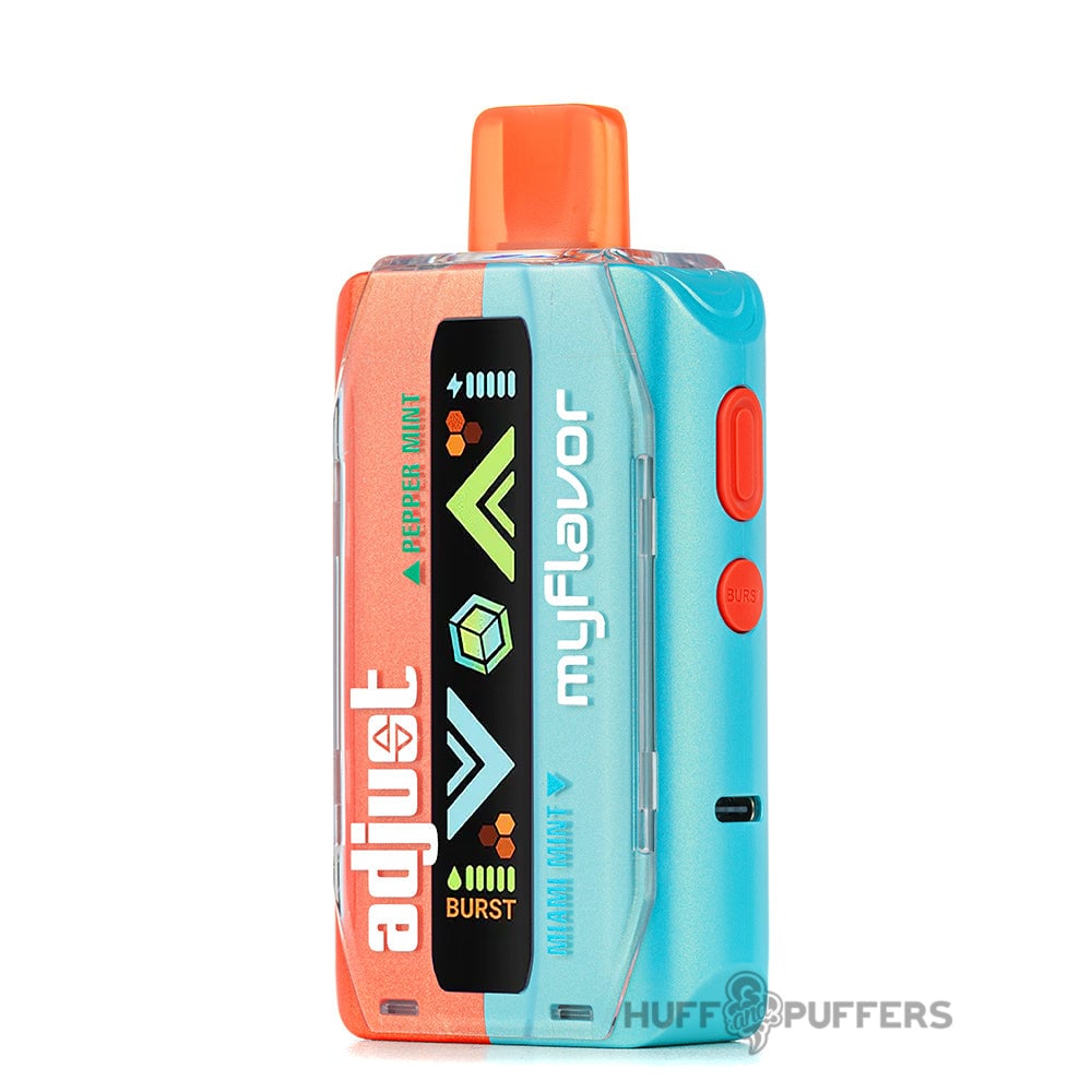 adjust vape price MyFlavor Disposable 5% Nicotine syke disposable vape E-liquid flavor:Famous Fruit KO Iced Shurb SALT Nic Vape