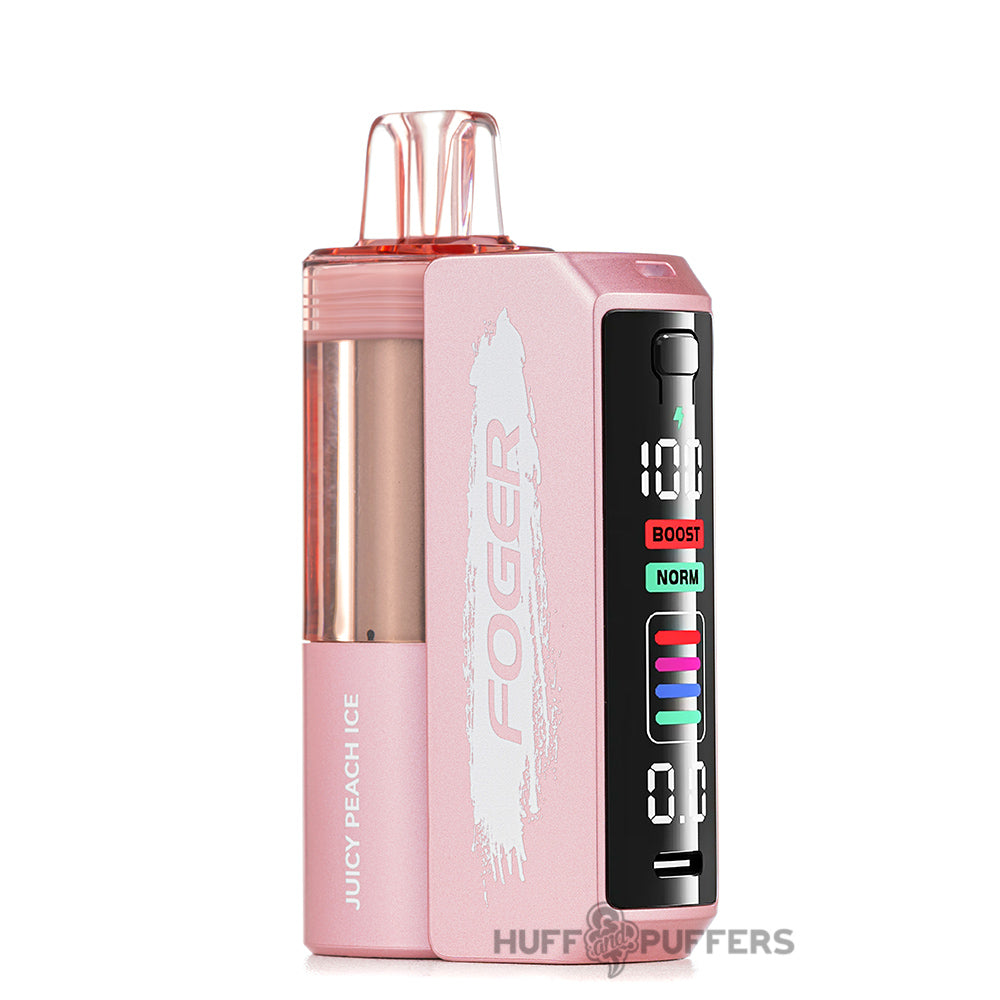 vape brand with detachable battery Foger Switch Pro Kit WEEKLY SALES!!! First and 2 Amp Charge 291657:1 g