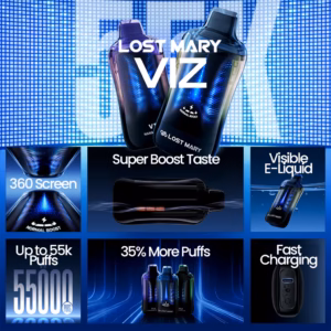 Lost Mary VIZ 55K disposable vape features